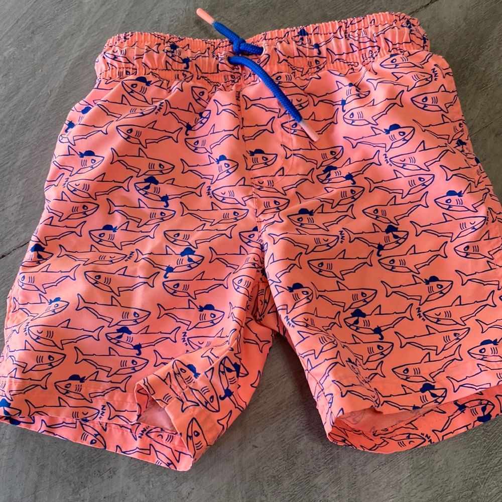 Shark swimming shorts